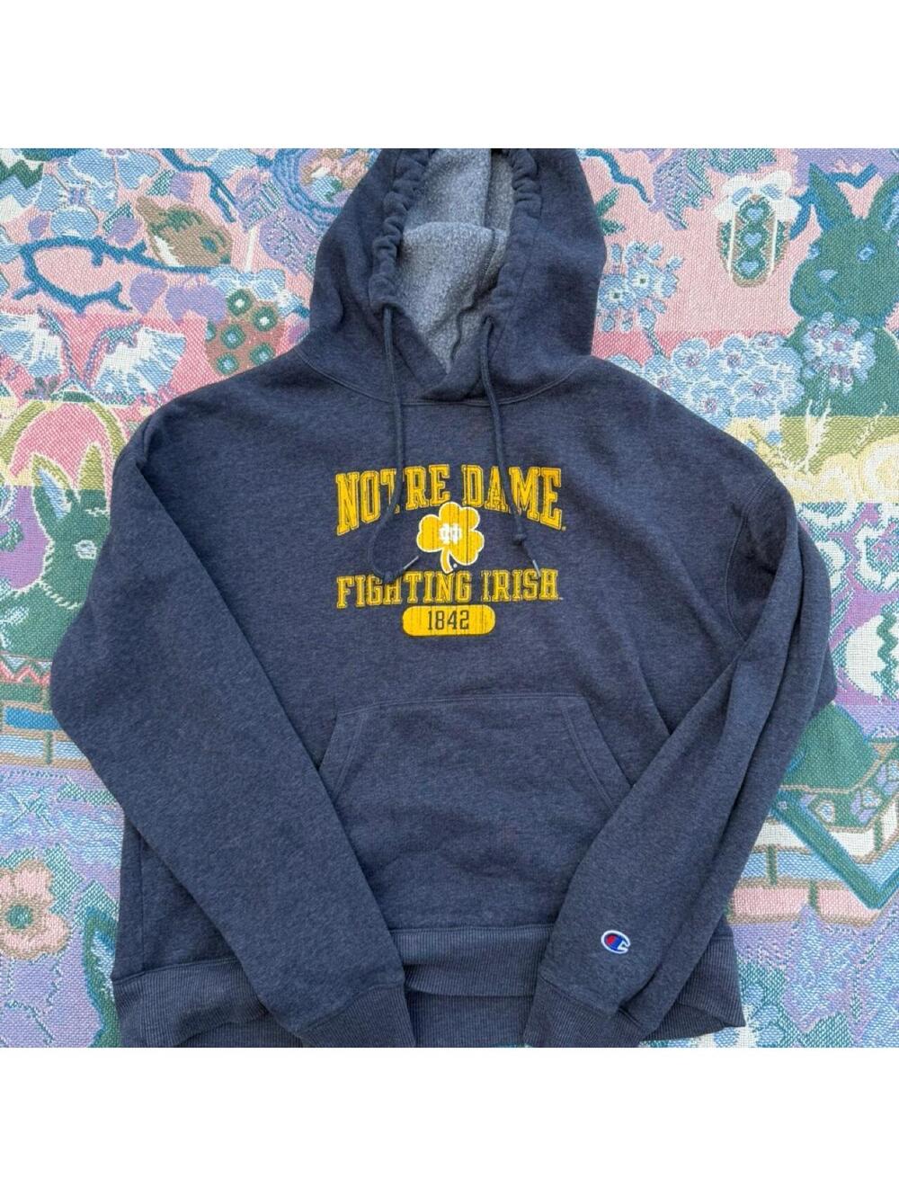 Champion Notre Dame Fighting Irish Hoodie Sweatshirt Size Large